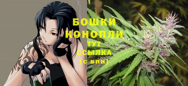 мяу мяу мука Гусиноозёрск
