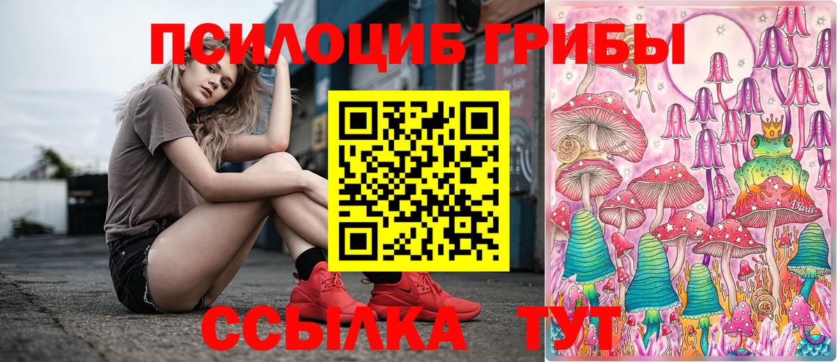 где можно купить   Галлюциногенные грибы Cubensis  Вход с VPN  Нягань  Псилоцибиновые грибы Magic Shrooms 