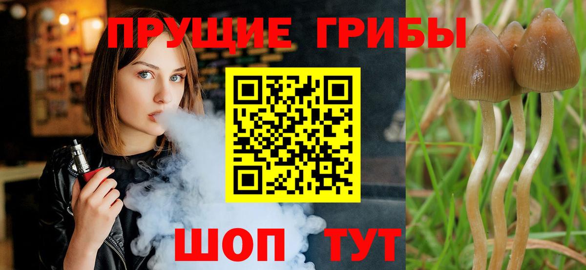 Галлюциногенные грибы прущие грибы Нягань