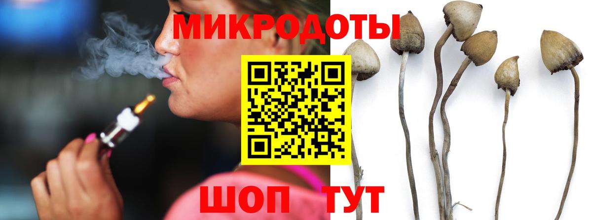 Галлюциногенные грибы Psilocybe Нягань
